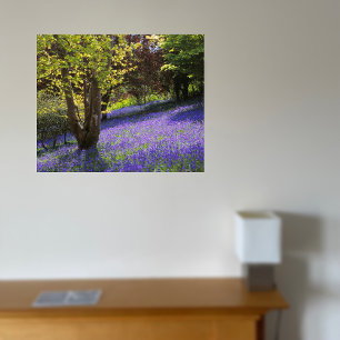 Bluebells Leinwanddruck