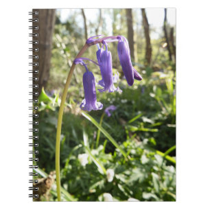 Bluebells-Notebook Notizblock