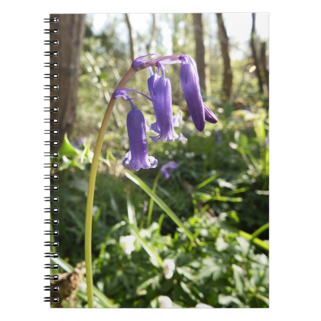 Bluebells-Notebook Notizblock (Vorderseite)