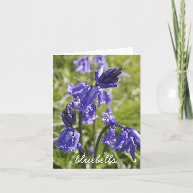 Bluebells notecard karte (Vorderseite)