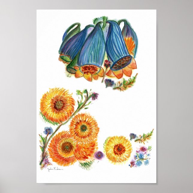 Bluebells Poster (Vorne)