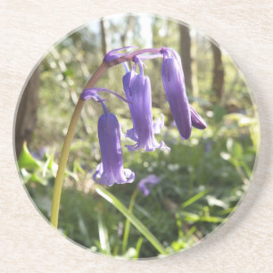 Bluebells Sandstone Untersetzer