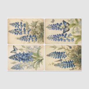 Bluebells Seidenpapier