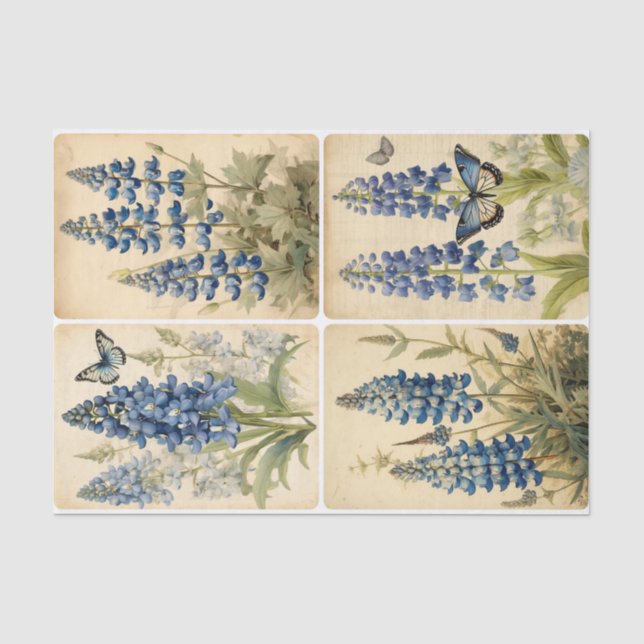 Bluebells Seidenpapier (Vorderseite)