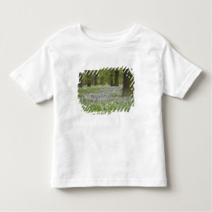 Bluebells und Eichenbäume im Frühling, Little Hagl Kleinkind T-shirt