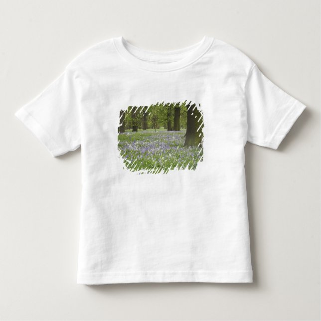 Bluebells und Eichenbäume im Frühling, Little Hagl Kleinkind T-shirt (Vorderseite)
