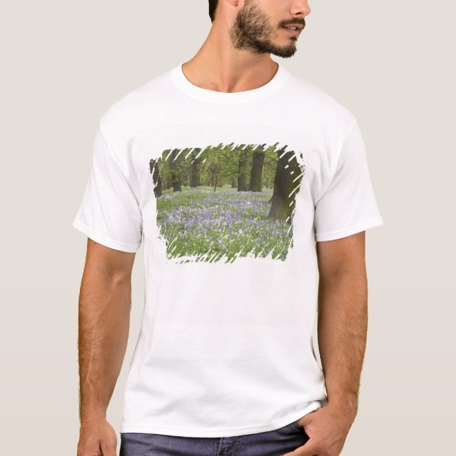 Bluebells und Eichenbäume im Frühling, Little Hagl T-Shirt (Vorderseite)