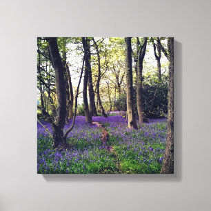 Bluebells Wald Bloral modern elegant Beautiful Leinwanddruck