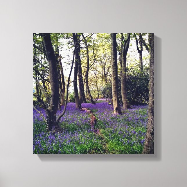 Bluebells Wald Bloral modern elegant Beautiful Leinwanddruck (Vorderseite)