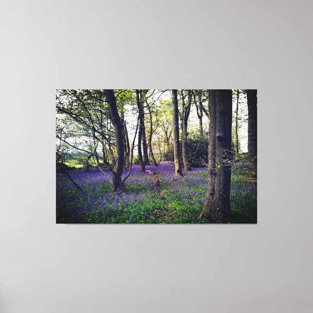 Bluebells Wald Bloral modern elegant Beautiful Leinwanddruck (Vorderseite)