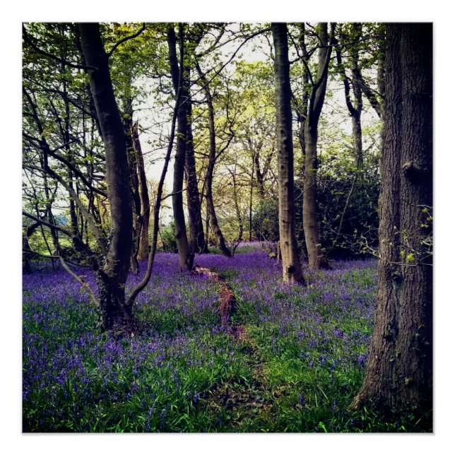 Bluebells Wald Bloral modern elegant Beautiful Poster (Vorderseite)