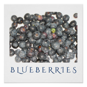Blueberries Kitchen Art Poster für die Wohngestalt