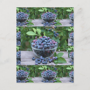 Blueberries Koch Gesunde Küche Salate Postkarte