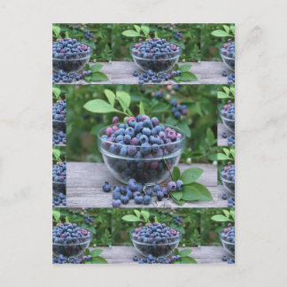 Blueberries Koch Gesunde Küche Salate Postkarte