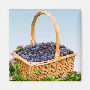 Blueberries-Korb Magnet