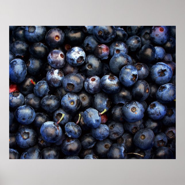 Blueberries-Leinwand Poster (Vorne)