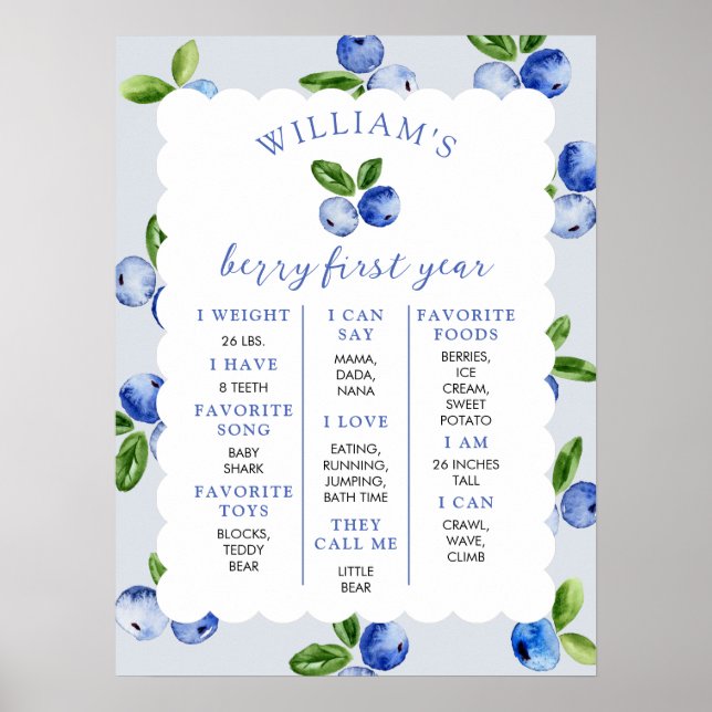 Blueberry Boy 1st Year Milestone Poster (Vorne)