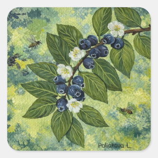 Blueberry Branch Botanical Illustration Quadratischer Aufkleber