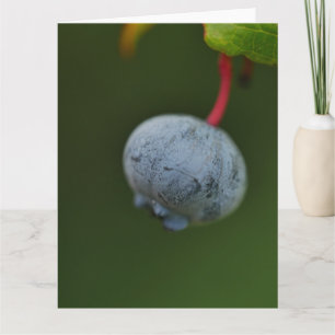 Blueberry Card Karte