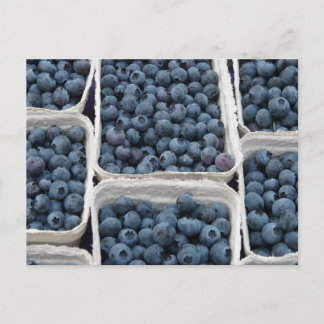 Blueberry Crates Postkarte