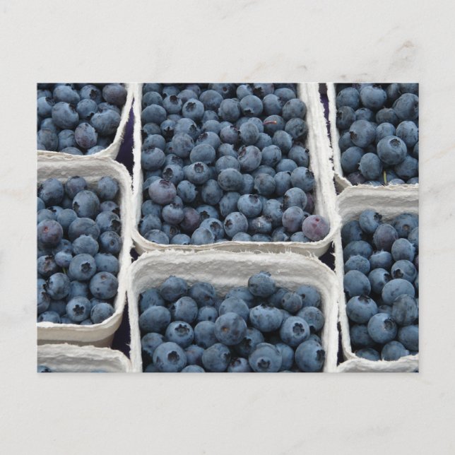 Blueberry Crates Postkarte (Vorderseite)