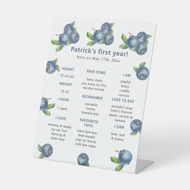 Blueberry First Birthday Milestone Geburtstag Sockelschild (Vorderseite)