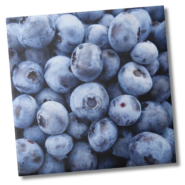 Blueberry Frucht Muster Fliese (Cute Fun Kitchen Blueberry Fruit Pattern Ceramic Tile)