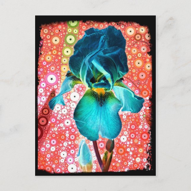 Blueberry Iris Postcard Postkarte (Vorderseite)