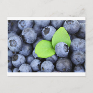 BLUEBERRY POSTKARTE