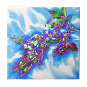 Blueberry Solar Fliese