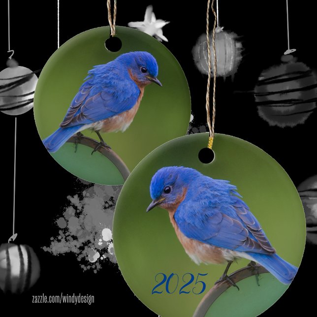 Bluebird 2021 Weihnachtsfeier Keramik Ornament (Von Creator hochgeladen)