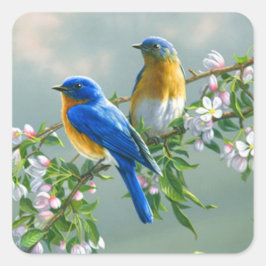 Bluebird. American Eastern Bluebird Sialis Quadratischer Aufkleber