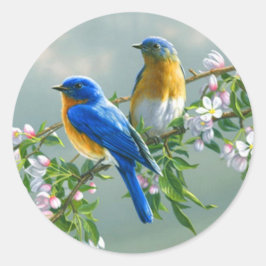 Bluebird. American Eastern Bluebird Sialis Runder Aufkleber