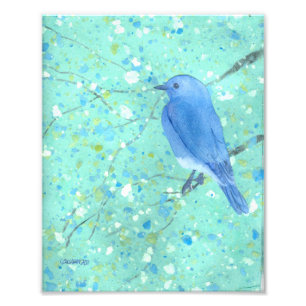 Bluebird Art Print Fotodruck