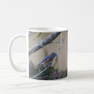 Bluebird auf Branch Eastern Bluebird Liebhaber Kaffeetasse