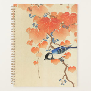 Bluebird auf einem Paulownia Tree  Planer