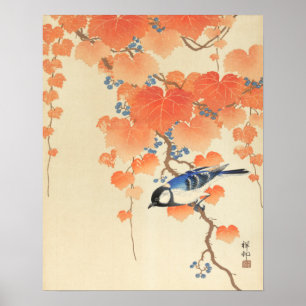 Bluebird auf einem Paulownia Tree Poster