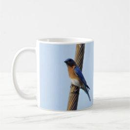 Bluebird auf einer Draht-Tasse Tasse