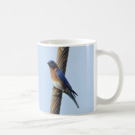 Bluebird auf einer Draht-Tasse Tasse