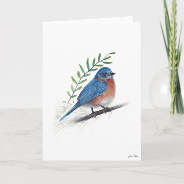Bluebird Bird Art Card Karte (Vorderseite)