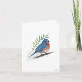 Bluebird Bird Art Card Karte