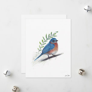 Bluebird Bird Art Feiertagskarte