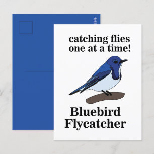 Bluebird Bird Lover Funny Postkarte