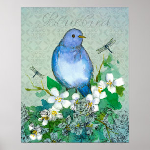 Bluebird Blume Collage Dragonflies Syringa Poster