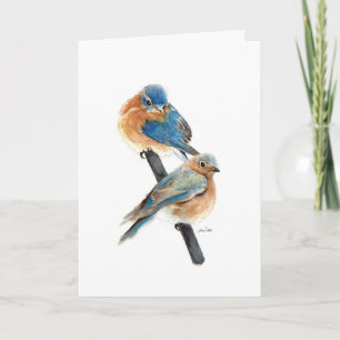 Bluebird Couple Painting Happy Birthday