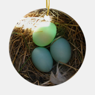 Bluebird Eggs Ornament