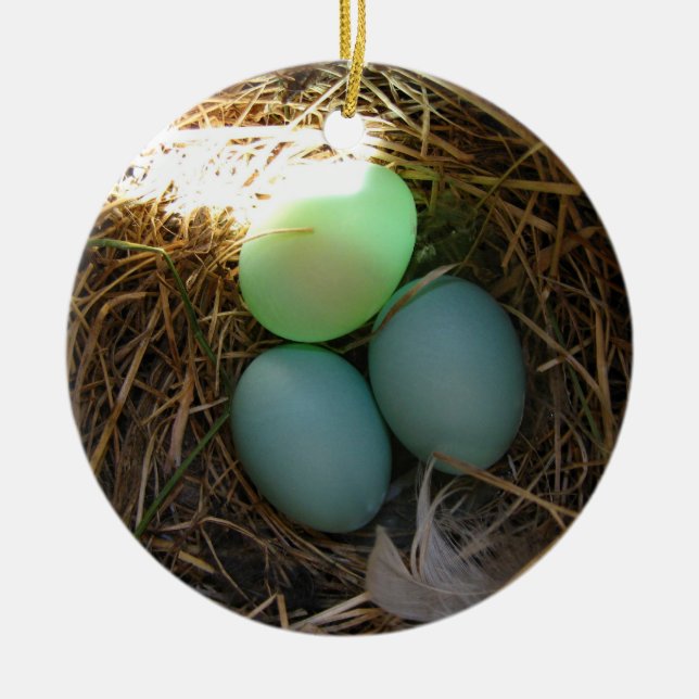 Bluebird Eggs Ornament (Vorne)