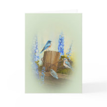 Bluebird Family Gruß