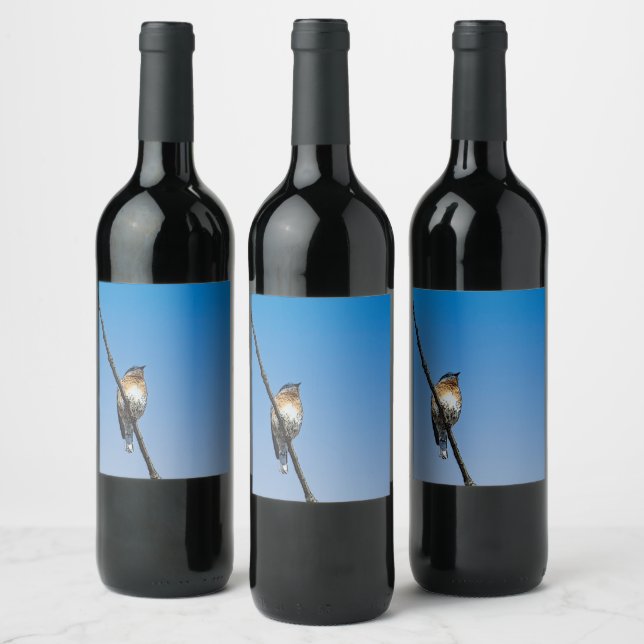 Bluebird Food and Beverage Label Set Weinetikett (Flaschen)