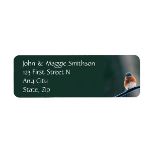 Bluebird Garden Bird Wildlife Nature Custom